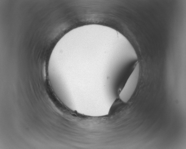 X0000076430020200611031851