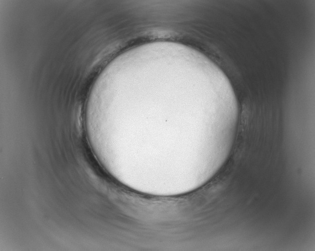 X0000076430024200611031851