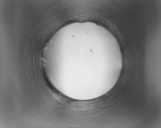 X0000076430025200611031851