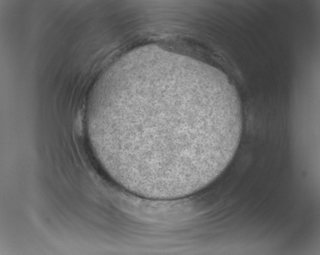 X0000076430026200611031851