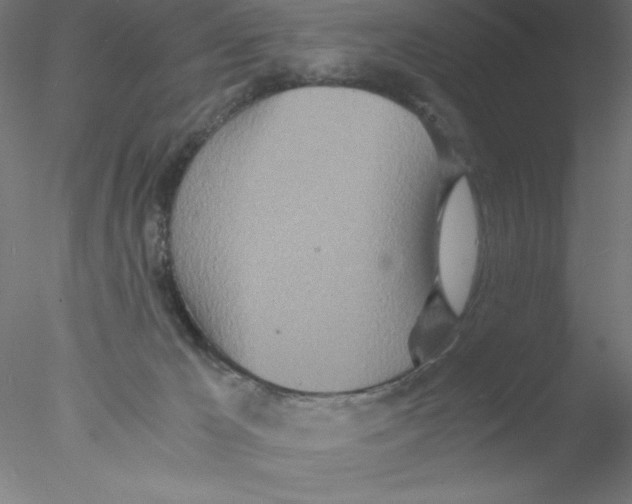 X0000076430029200611031851