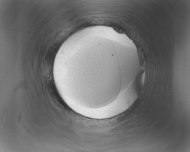 X0000076430031200611031851