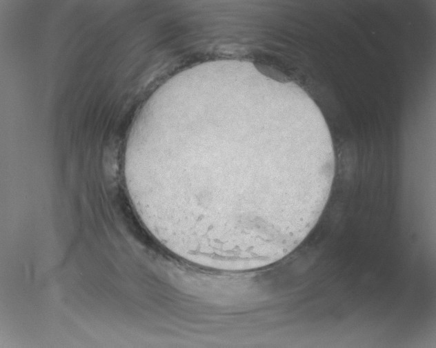 X0000076430032200611031851