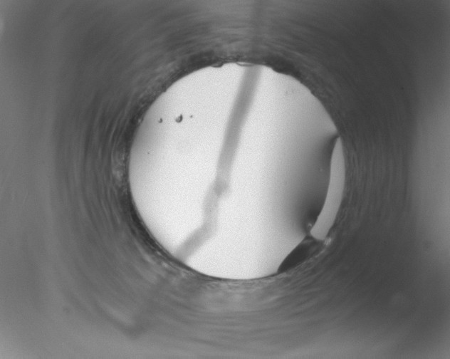 X0000076430033200611031851