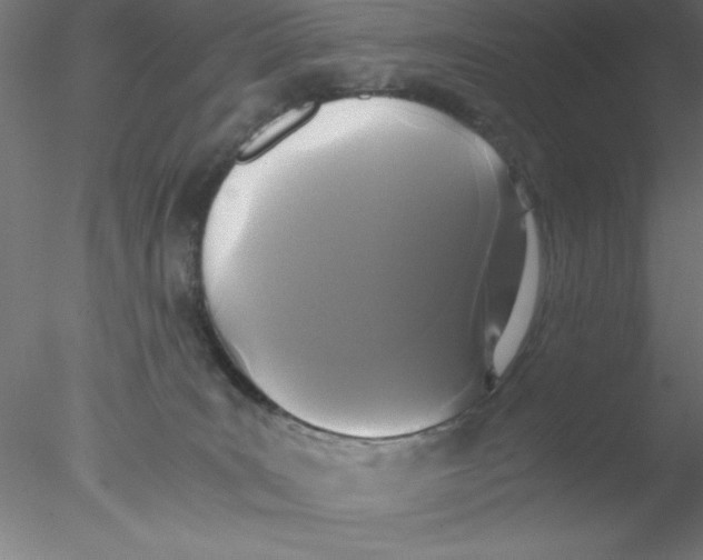 X0000076430035200611031851