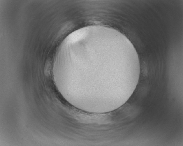 X0000076430036200611031851