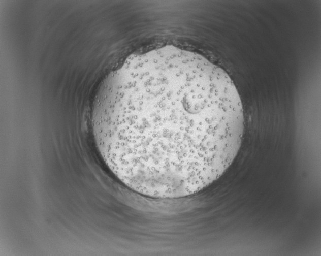 X0000076430038200611031851