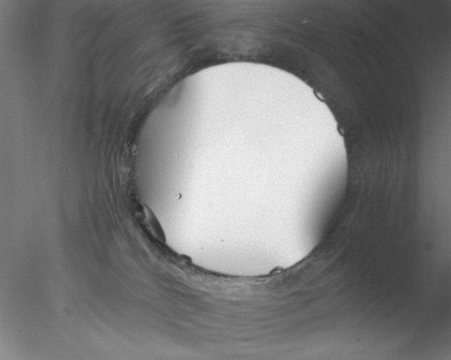 X0000076430040200611031851