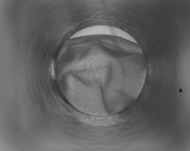 X0000076430042200611031851