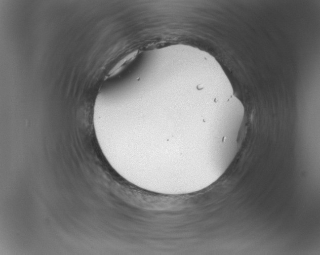 X0000076430044200611031851