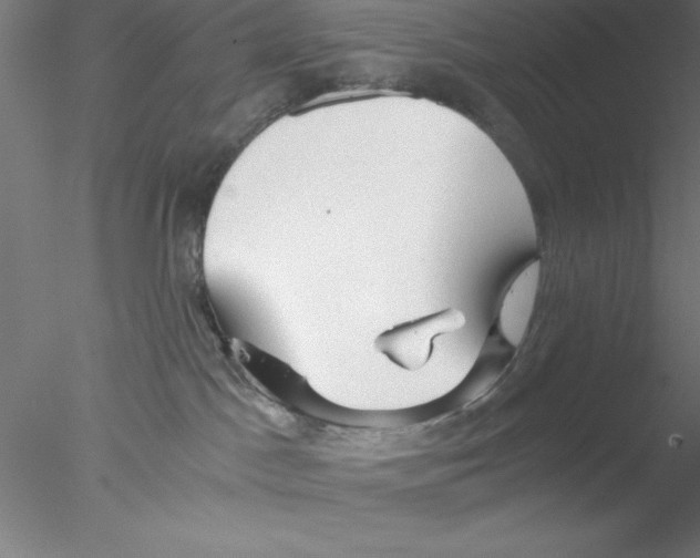 X0000076430045200611031851