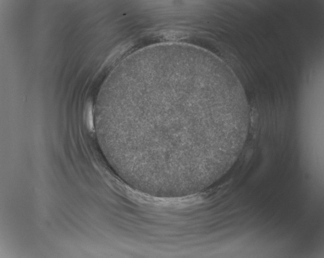 X0000076430046200611031851