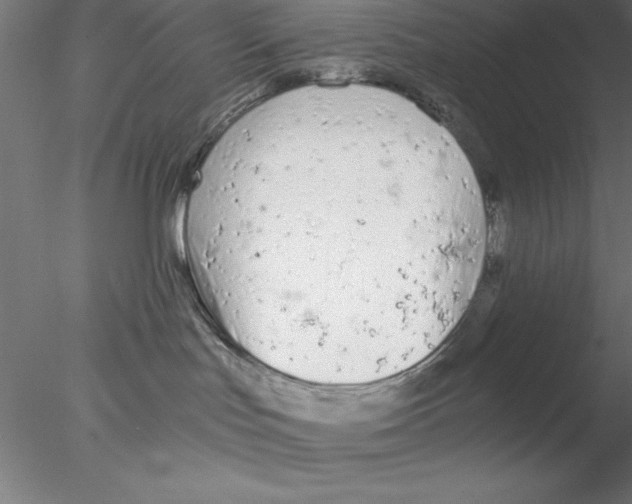 X0000076430047200611031851