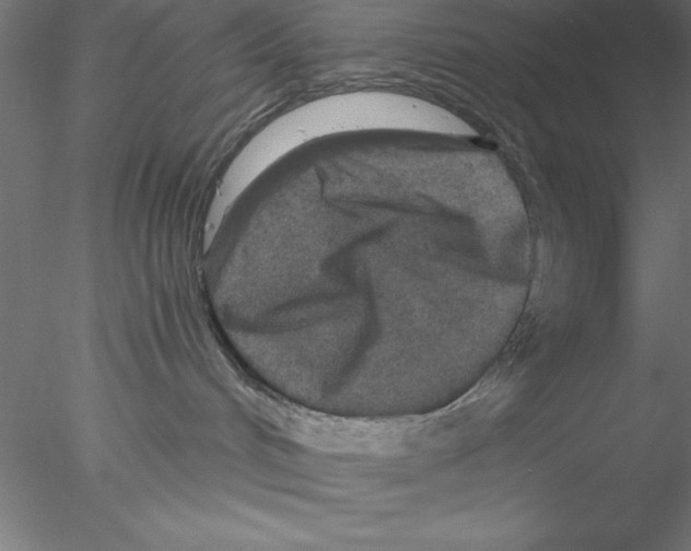 X0000076430048200611031850