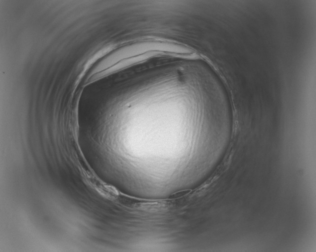 X0000076430050200611031850