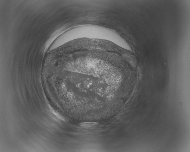 X0000076430051200611031850