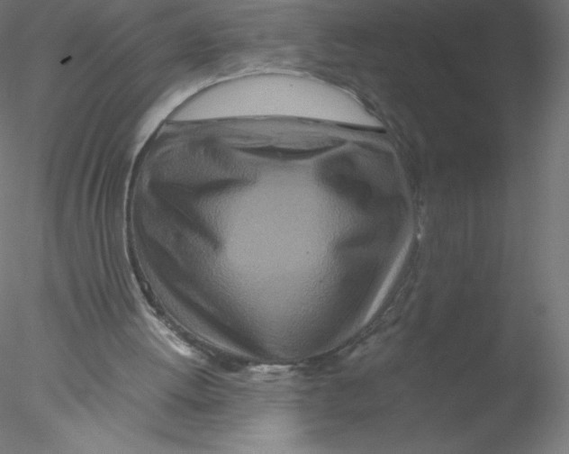 X0000076430052200611031850