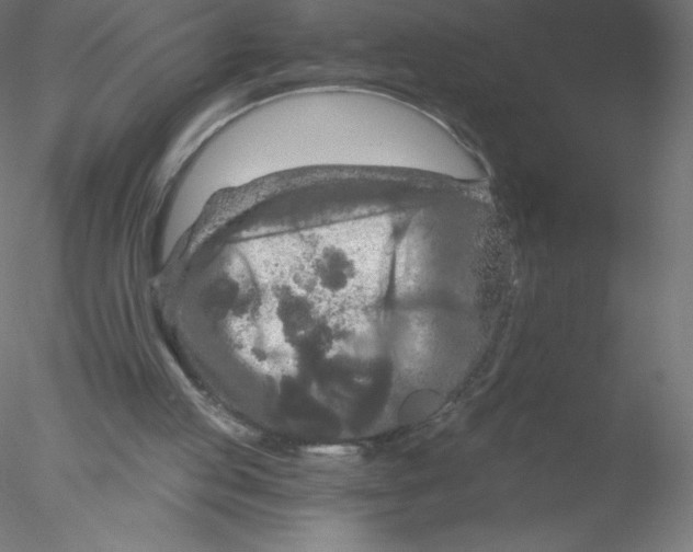 X0000076430053200611031850