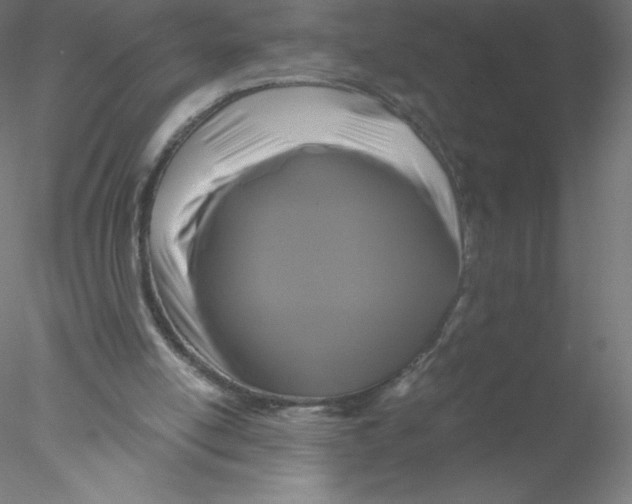 X0000076430054200611031850