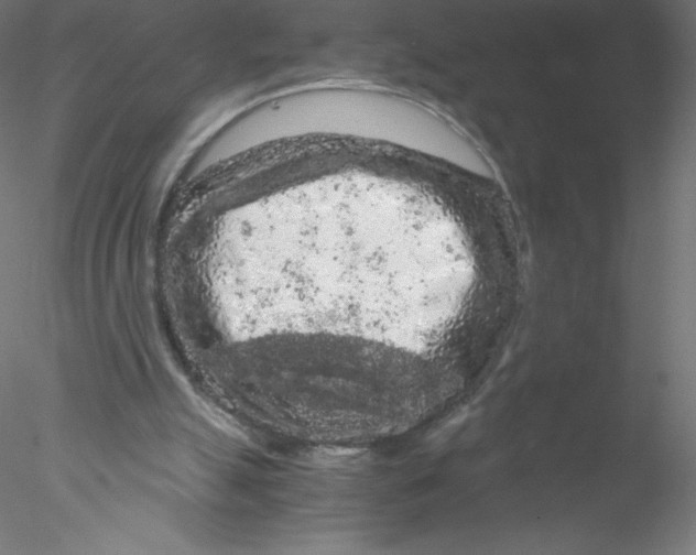 X0000076430055200611031850