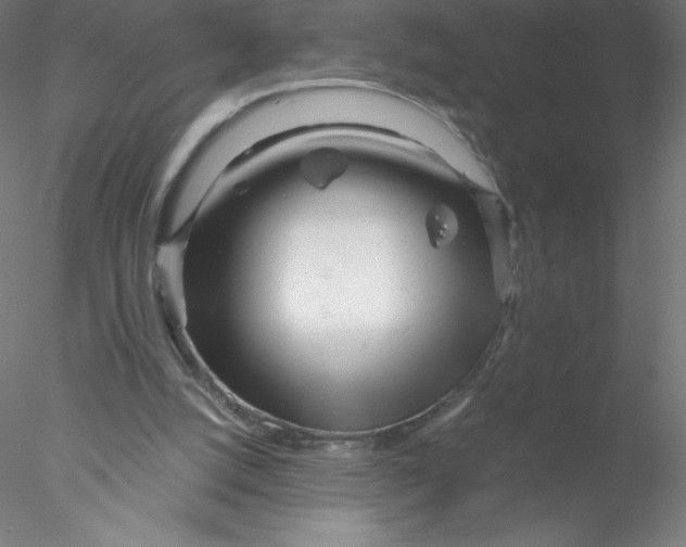 X0000076430056200611031850