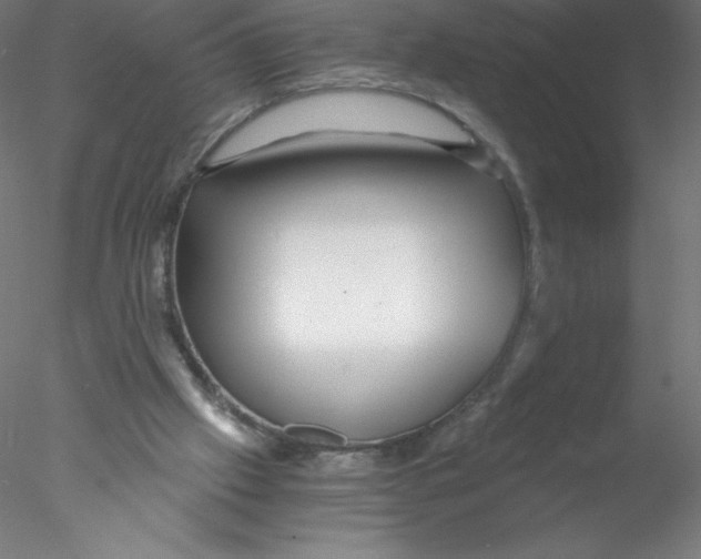 X0000076430057200611031850