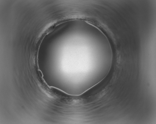 X0000076430060200611031850