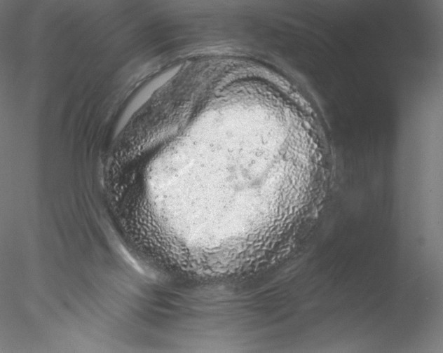 X0000076430061200611031850