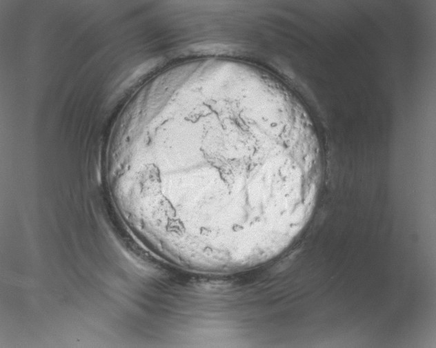 X0000076430062200611031850