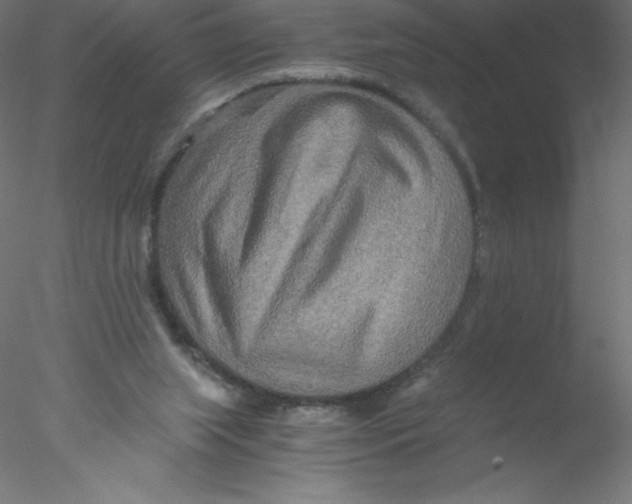 X0000076430063200611031850