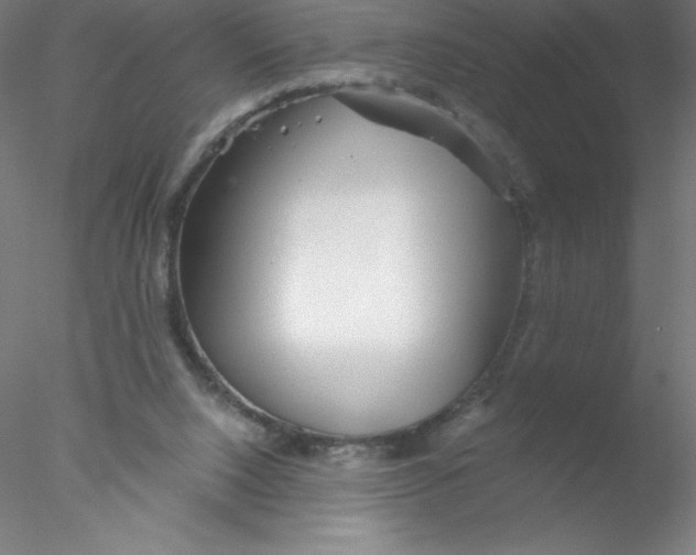 X0000076430064200611031850