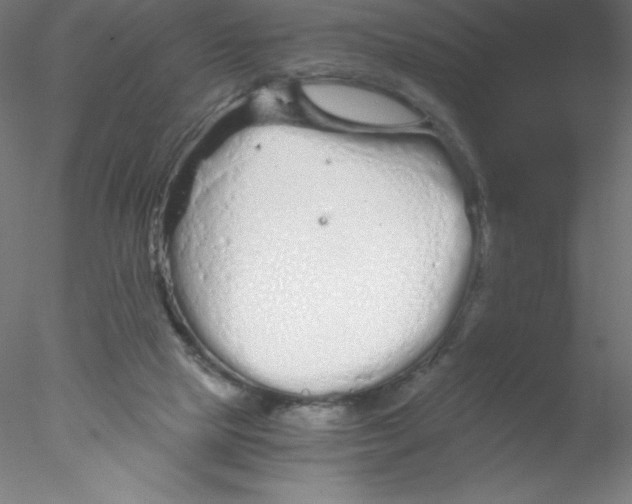 X0000076430065200611031850