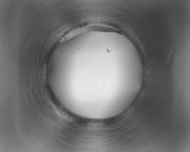 X0000076430066200611031850