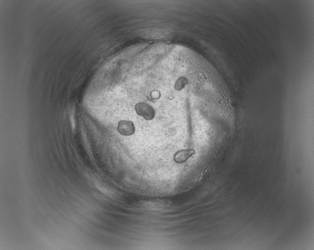 X0000076430069200611031850