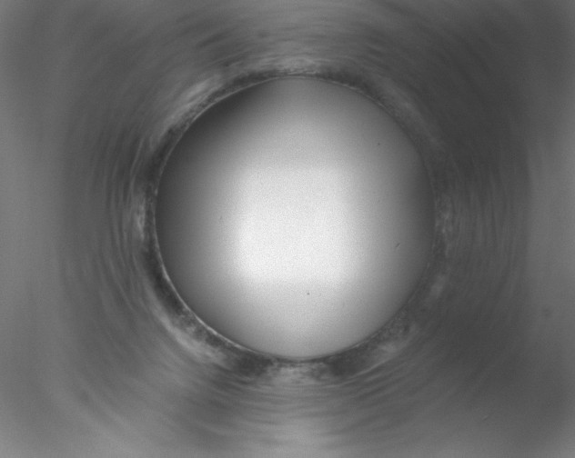 X0000076430072200611031850