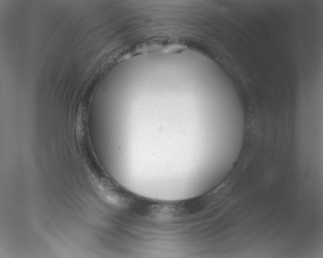 X0000076430074200611031850