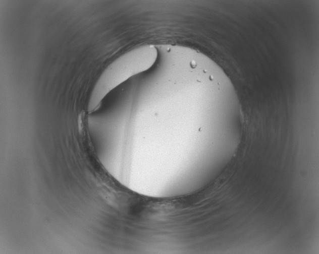 X0000076430075200611031850