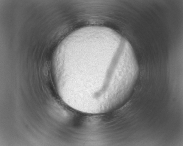 X0000076430078200611031850