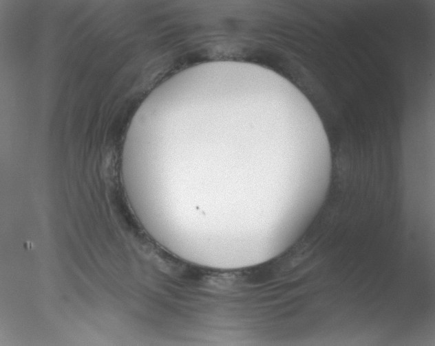 X0000076430079200611031850