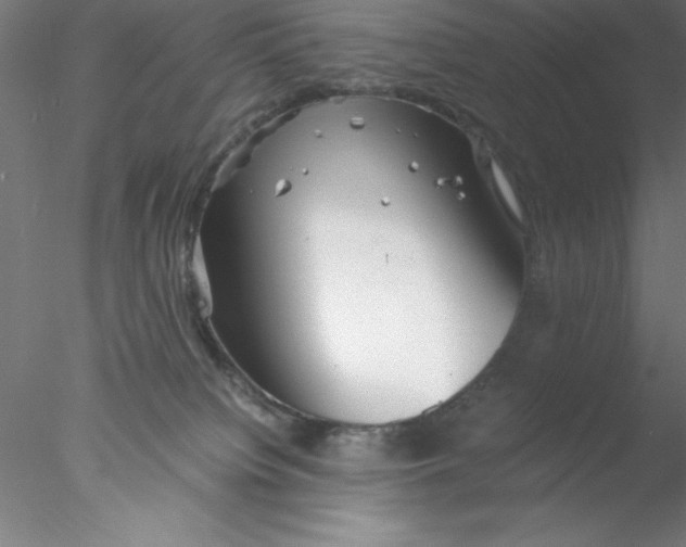 X0000076430084200611031850