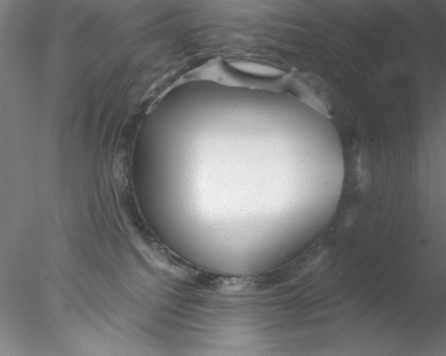 X0000076430088200611031850