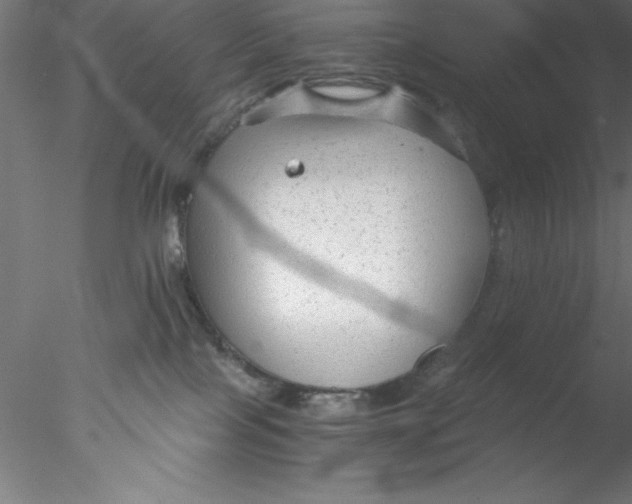 X0000076430089200611031850