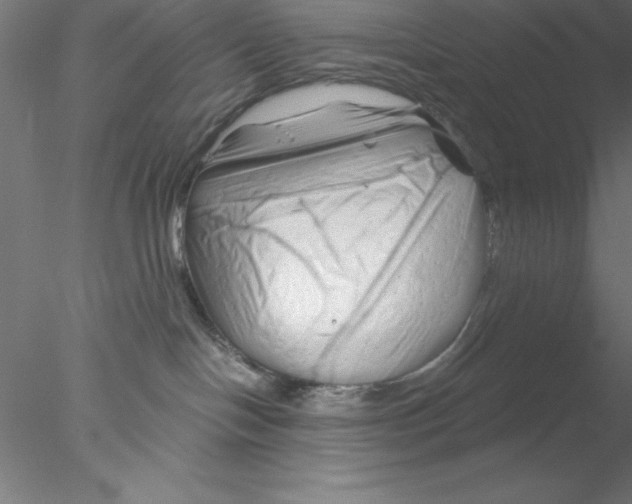 X0000076430094200611031850