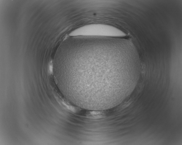 X0000076430095200611031850