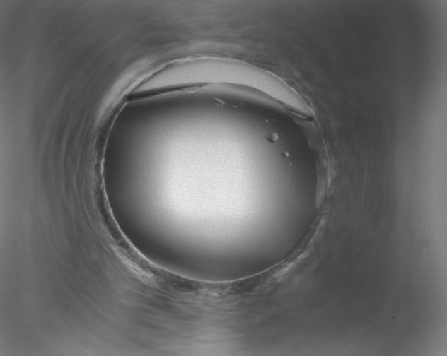 X0000076430101200611031850