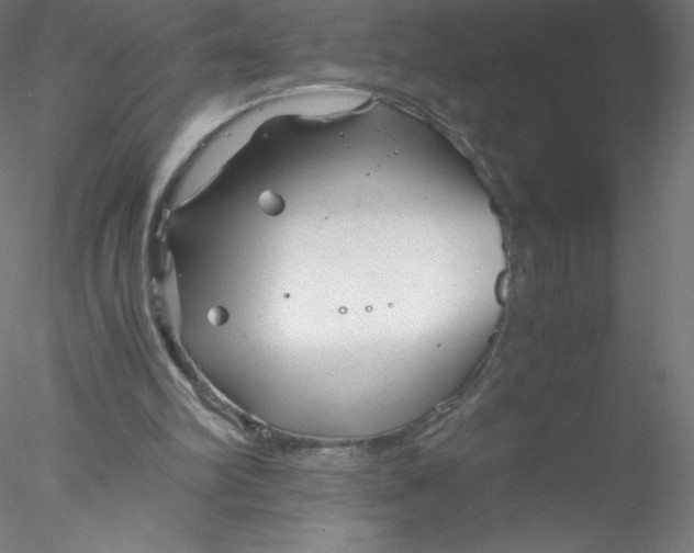 X0000076430102200611031850