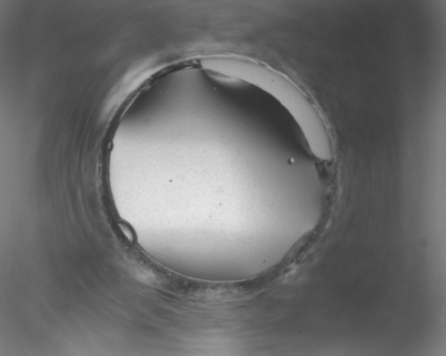 X0000076430103200611031850