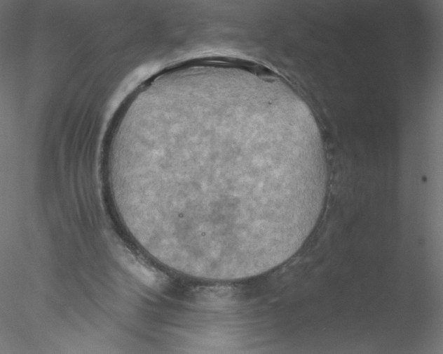 X0000076430104200611031850