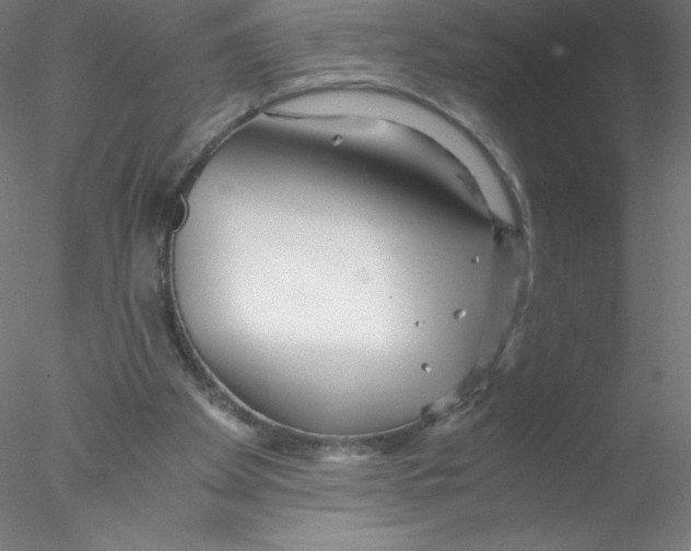 X0000076430105200611031850