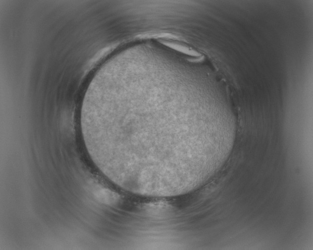 X0000076430112200611031849